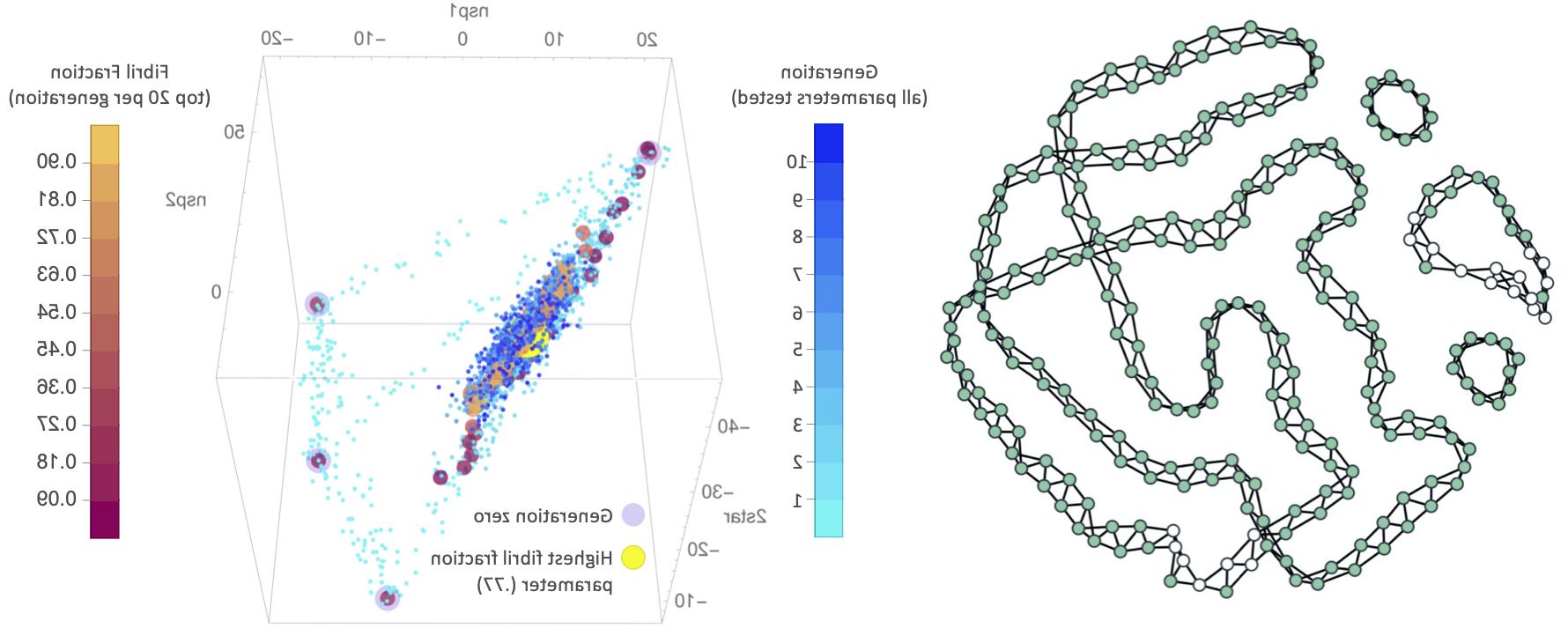 fibril simulation pic