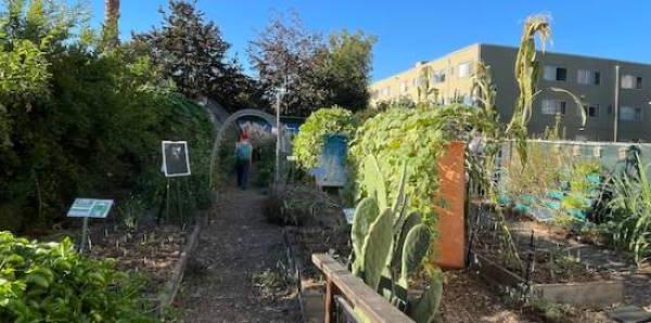 person walks in the distance in an urban garden